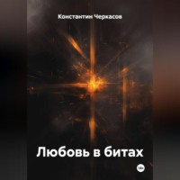 Константин Викторович Черкасов. Любовь в битах