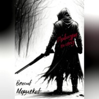 Вячеслав Евгеньевич Мерзляков. Правосудие на снегу