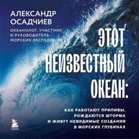 Александр Осадчиев. Этот неизвестный океан. Как работают приливы, рождаются шторма и живут невидимые создания в морских глубинах