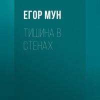 Егор Мун. Тишина в стенах