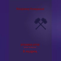 Владимир Валерьевич Комарьков. Хроники Арли. Книга 4. Я мудрец