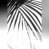 Santis Ku. Спасите! Мы погибаем!