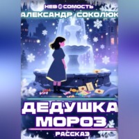 Александр Соколюк. Дедушка Мороз