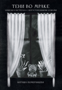 Тени во мраке. Записки о встречах с потусторонними душами