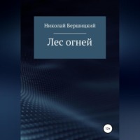Николай Олегович Бершицкий. Лес огней
