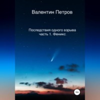 Валентин Петров. Последствия одного взрыва. Часть 1. Феникс
