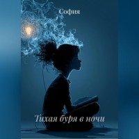 София. Тихая буря в ночи