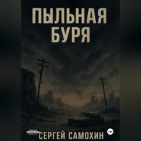 Сергей Самохин. Пыльная буря