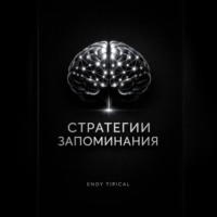 Endy Typical. Стратегии Запоминания