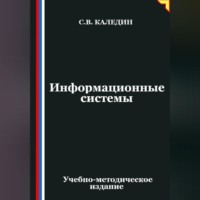Сергей Каледин. Информационные системы