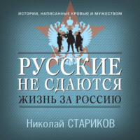 Николай Стариков. Русские не сдаются. Жизнь за Россию