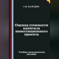 Сергей Каледин. Оценка стоимости капитала инвестиционного проекта