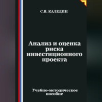 Сергей Каледин. Анализ и оценка риска инвестиционного проекта