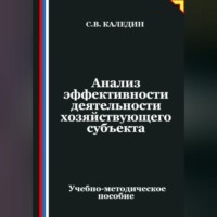 Сергей Каледин. Анализ эффективности деятельности хозяйствующего субъекта