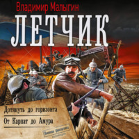 Владимир Владиславович Малыгин. Лётчик-2