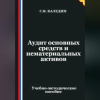 Сергей Каледин. Аудит основных средств и нематериальных активов