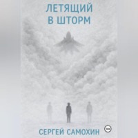 Сергей Самохин. Летящий в шторм