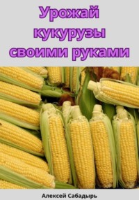 Урожай кукурузы своими руками