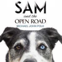 Michael John Pole. Sam and the Open Road (Unabridged)