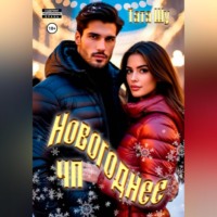 Тата Шу. Новогоднее ЧП