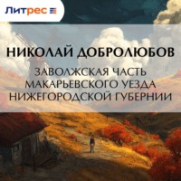 Николай Александрович Добролюбов. Заволжская часть Макарьевского уезда Нижегородской губернии