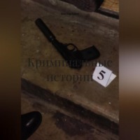 Александр Евгеньевич Руднев. Криминальные истории