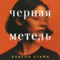 Элисон Стайн. Черная метель