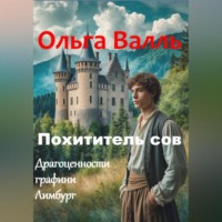 Ольга Валль. Похититель сов