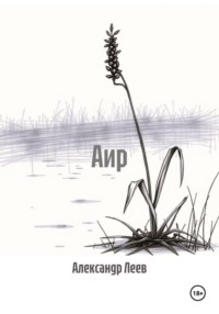 Аир