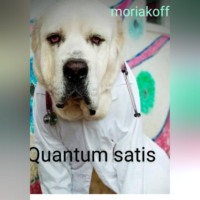 moriakoff. Quantum satis