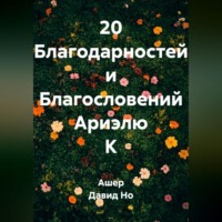 Ашер Давид Но. 20 Благодарностей и Благословений Ариэлю К