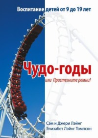 Чудо-годы, или Пристегните ремни