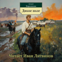 Дмитрий Каркошкин. Дикое поле