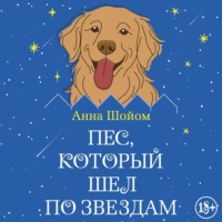 Анна Шойом. Пес, который шел по звездам