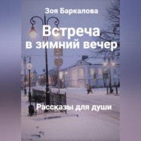 Зоя Баркалова. Встреча в зимний вечер