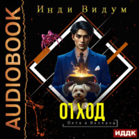 Инди Видум. Петя и Валерон. Книга 4. Отход