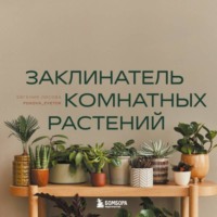 Евгения Лисова. Заклинатель комнатных растений. Секретные лайфхаки от профессионального цветовода