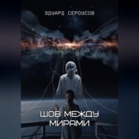 . Шов между мирами