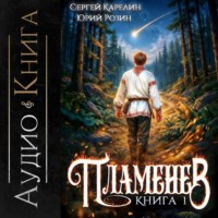 Сергей Карелин. Пламенев. Книга I