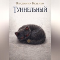 Владимир Беленко. Туннельный