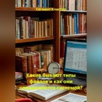 Сегмент Кластер. Какие бывают типы файлов и как они определяются системой?