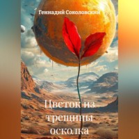 Геннадий Соколовский. Цветок из трещины осколка