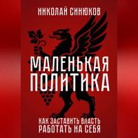 Николай Синюков. Маленькая Политика. Как заставить власть работать на себя