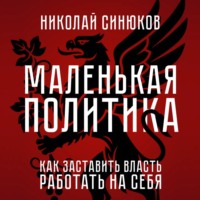 Николай Синюков. Маленькая Политика. Как заставить власть работать на себя