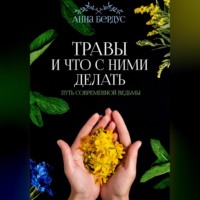 Травы и что с ними делать. Путь современной ведьмы