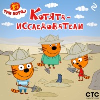 Коллектив авторов. Три кота. Котята-исследователи