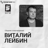 Виталий Лейбин. Виталий Лейбин. Сборник стихотворений