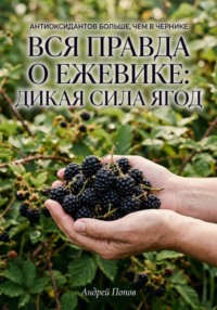 Вся правда о ежевике: дикая сила ягод