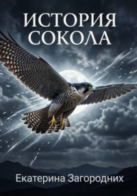 История "Сокола"