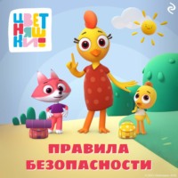Елена Янушко. Цветняшки. Правила безопасности